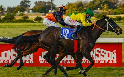 Durbanville Success for Pathfork