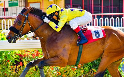 Pathfork’s Son Hubble Wins In Mauritius