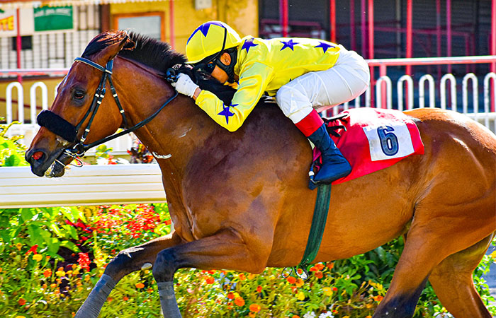 Pathfork’s Son Hubble Wins In Mauritius