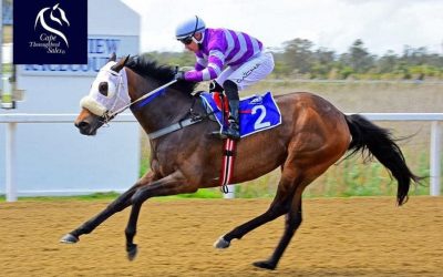 French Navy Sibling Scores At Fairview