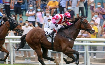 G1 Contender For Soqrat’s Sire Epaulette