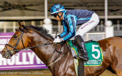 Greyville 1-2 For Sandown Stud!