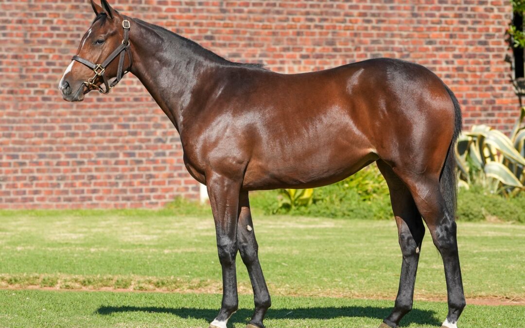 Lot 316: 20′ CAPTAIN’S SONG