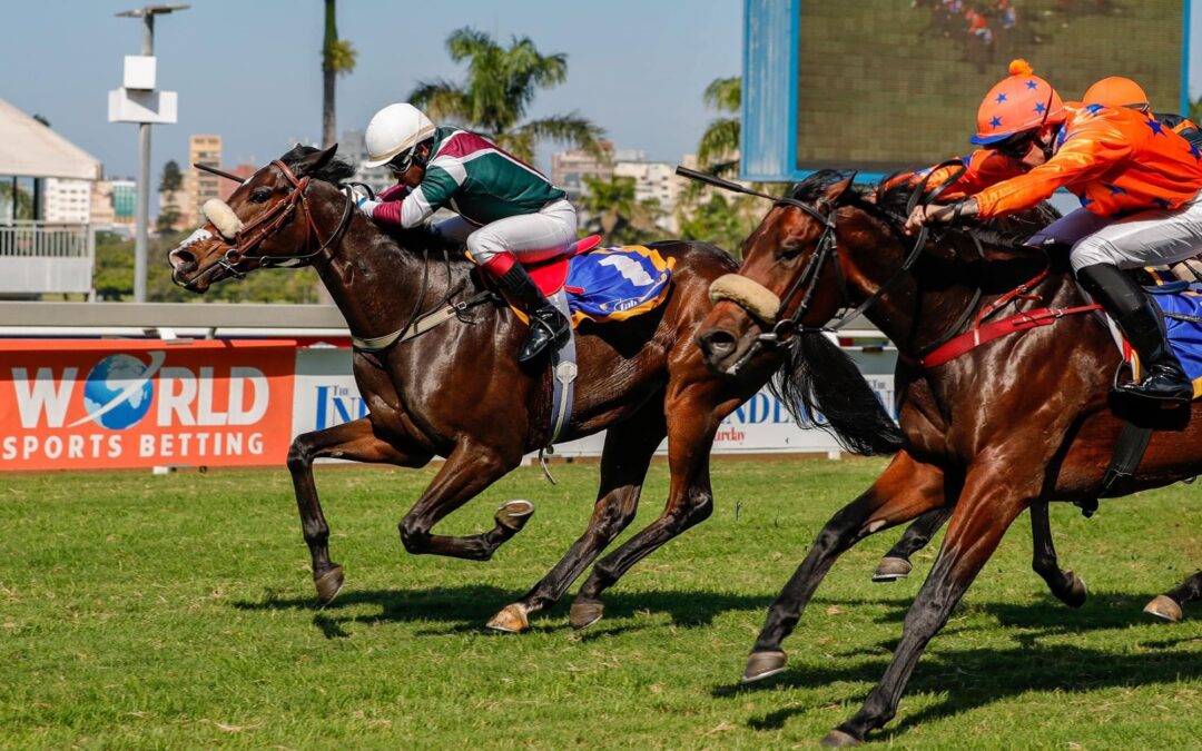 Guineas Day Day Double For Sandown Stud