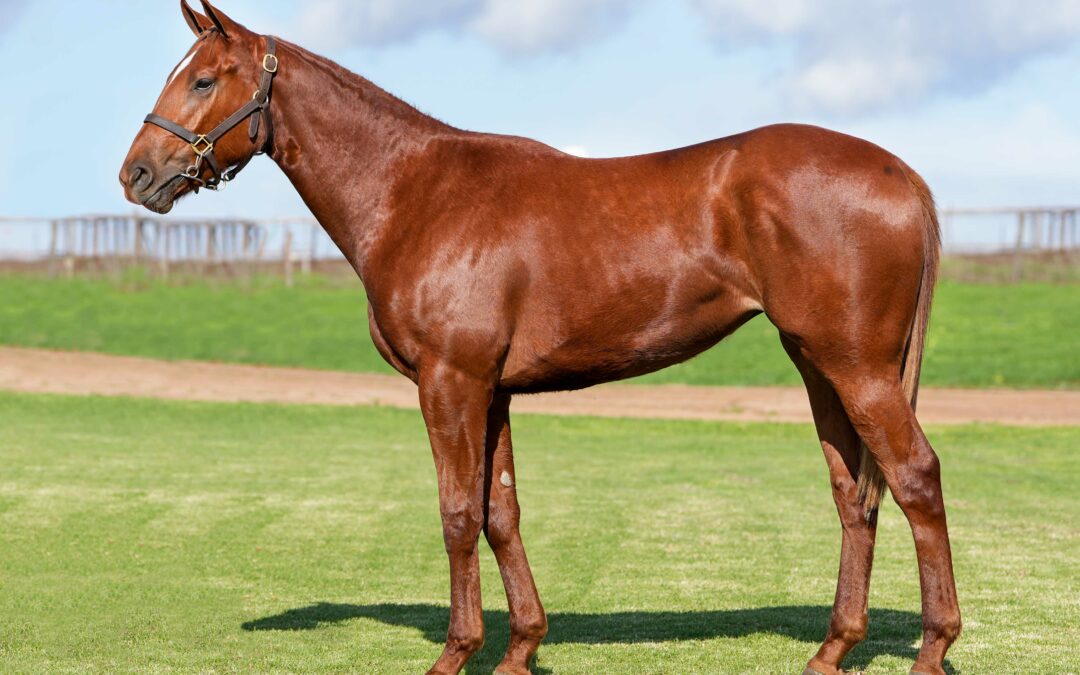 Lot 69: 20′ UNCHARTERED