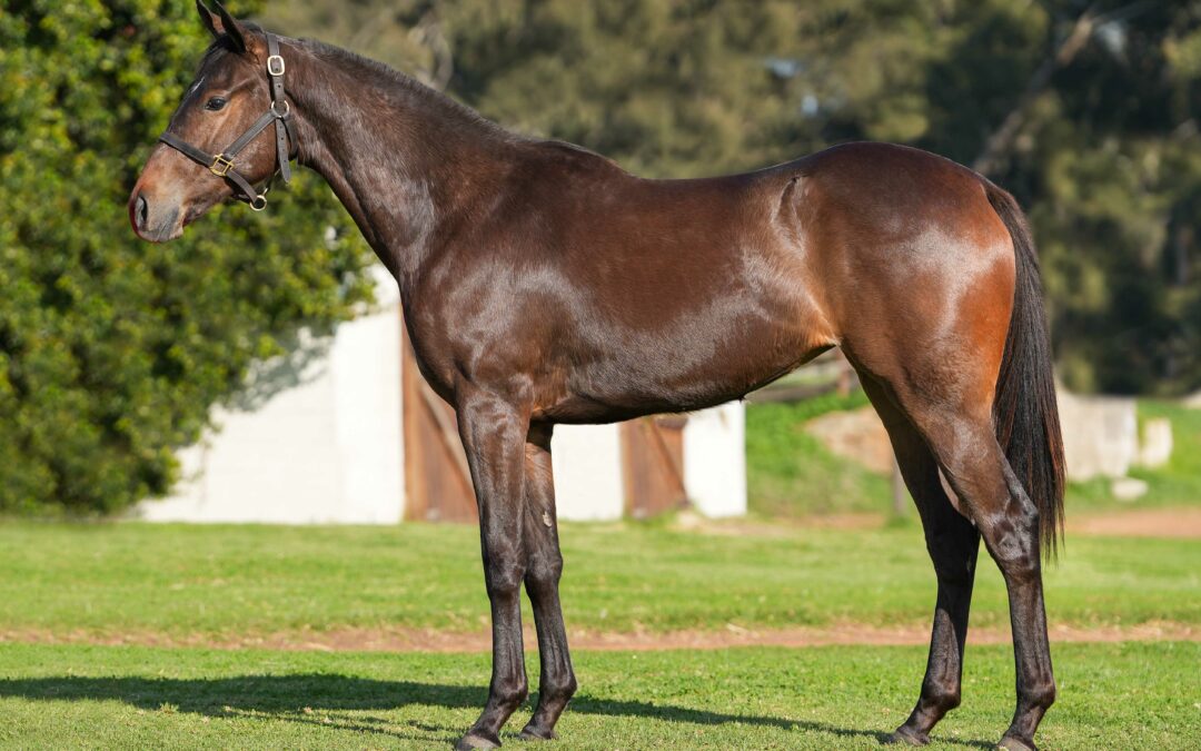 LOT 203: SIGRID SWING