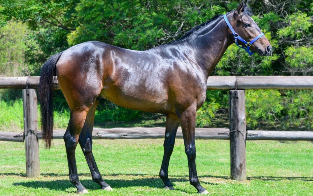 LOT 83: PENDERGRASS