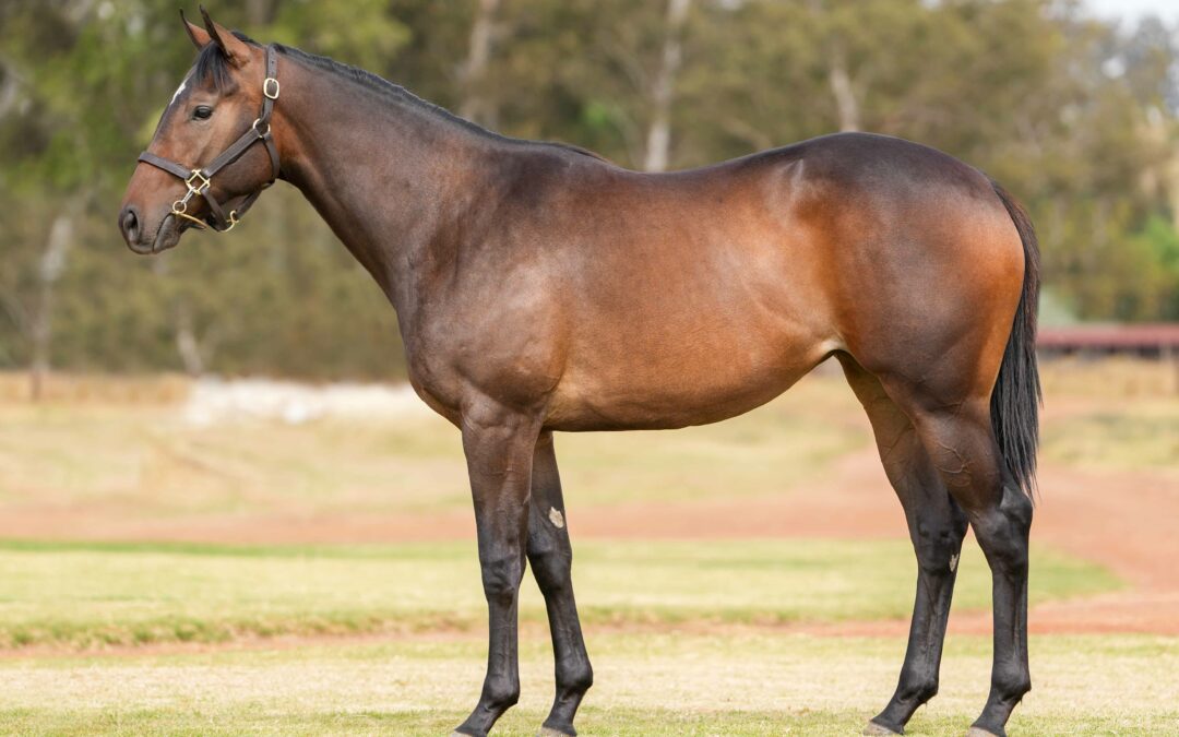 LOT 114: DIRECT PASSAGE
