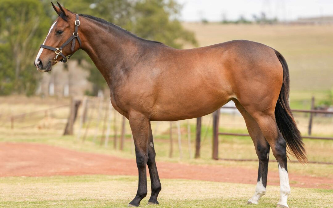 LOT 117: MOUNTAINSOFTHEMOON