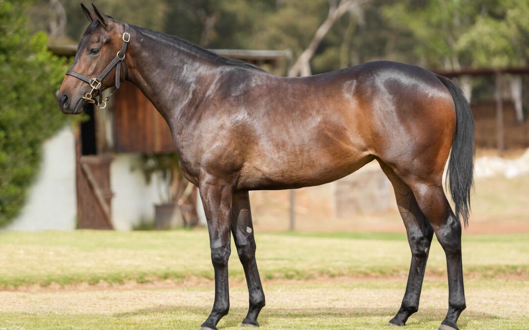LOT 139: ARVERNI PRINCESS