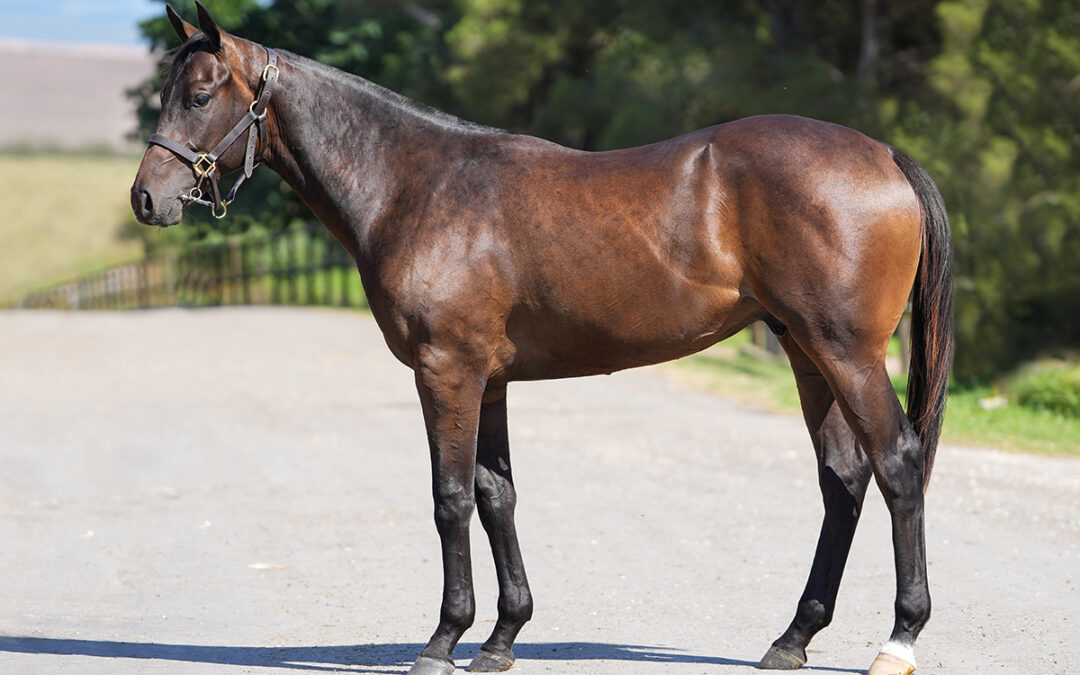 LOT 274: 21′ FIRDOAS