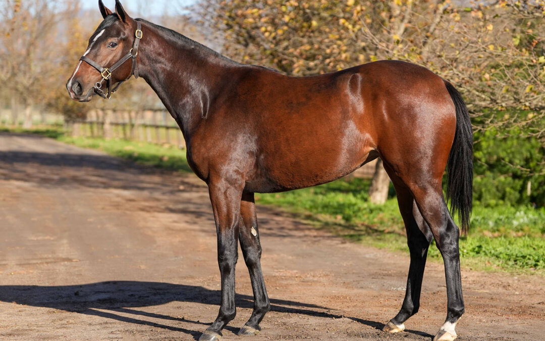Lot 160: FORWARD MOTION