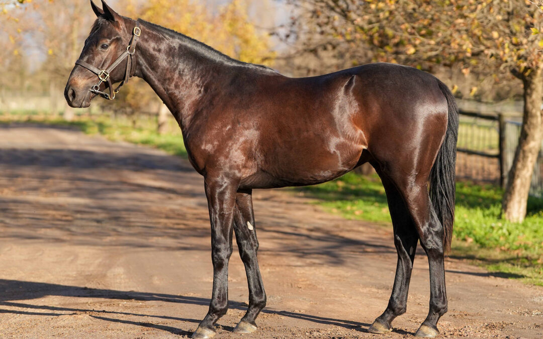 Lot 163: SUPER BUCK MOON