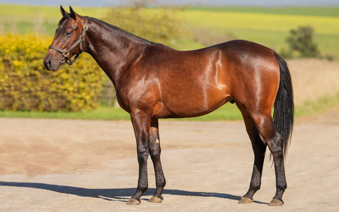 Lot 114: SOVEREIGN CROWN
