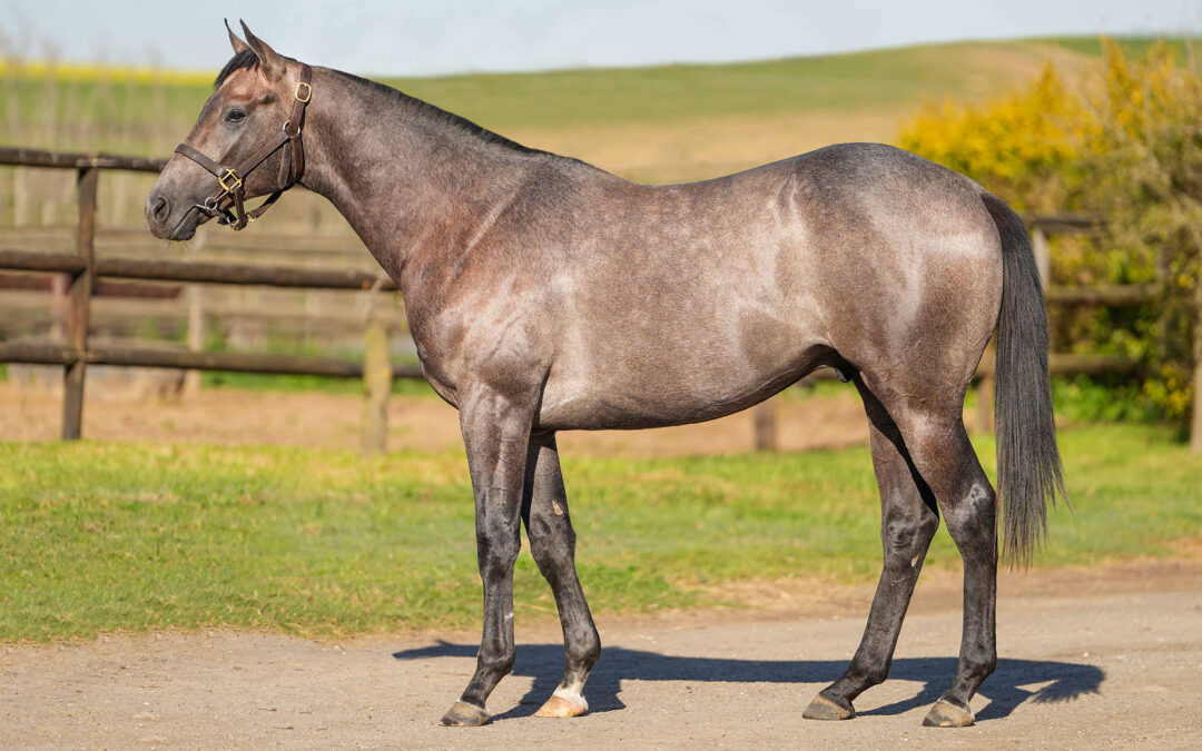 Lot 167: MASTER OF MYSTERY