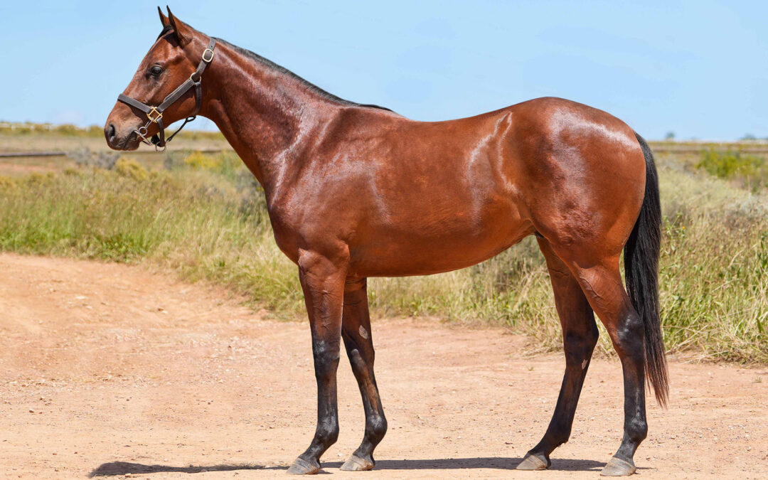 LOT 150: LIGHT OF LIBERTY