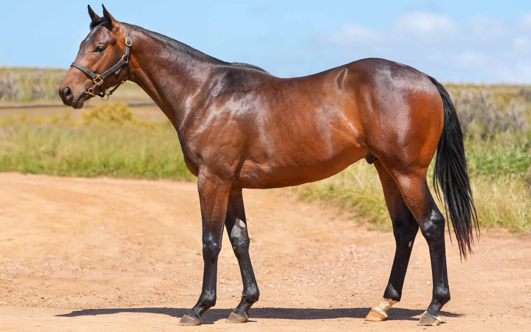 LOT 64: POSITION OF POWER