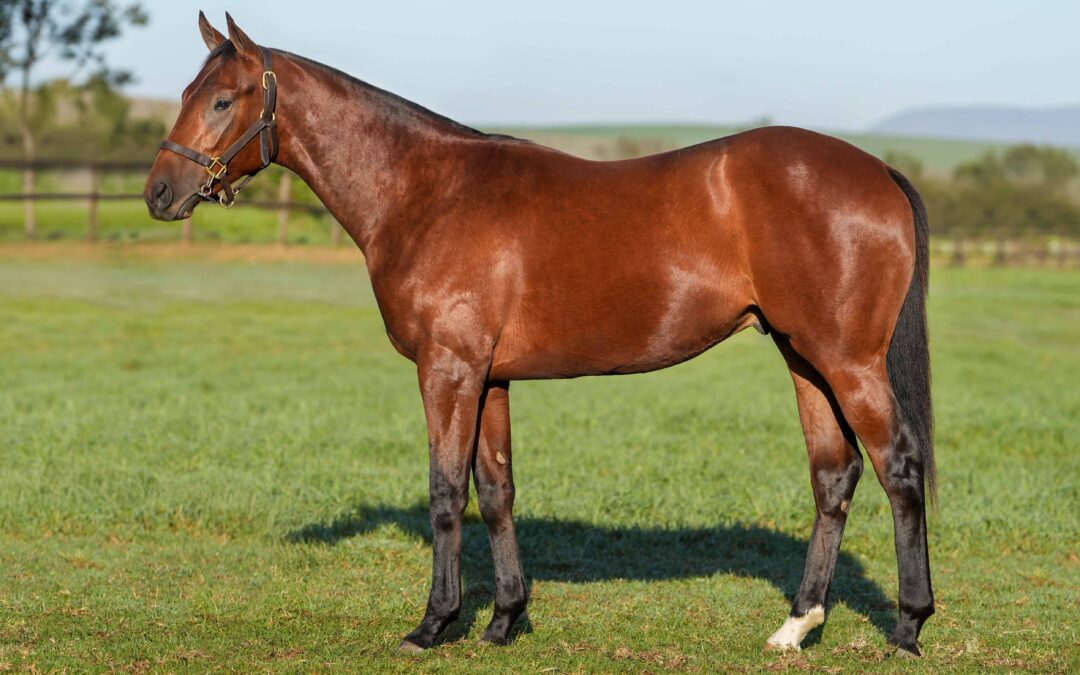 LOT 165: 22′ REBEL QUEEN