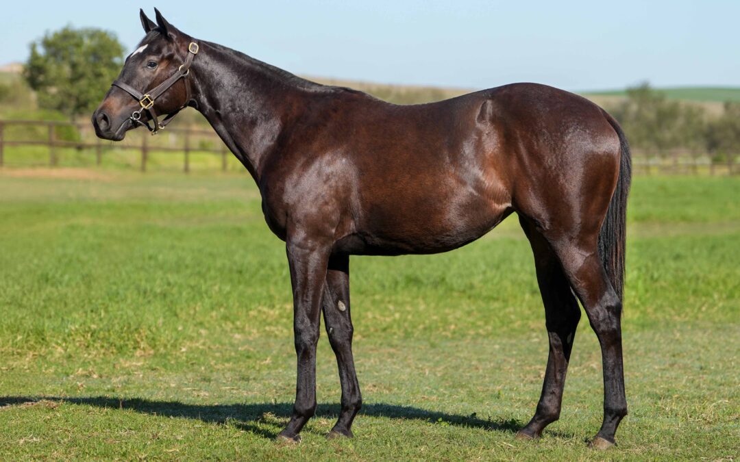 LOT 170: COURT ACTION