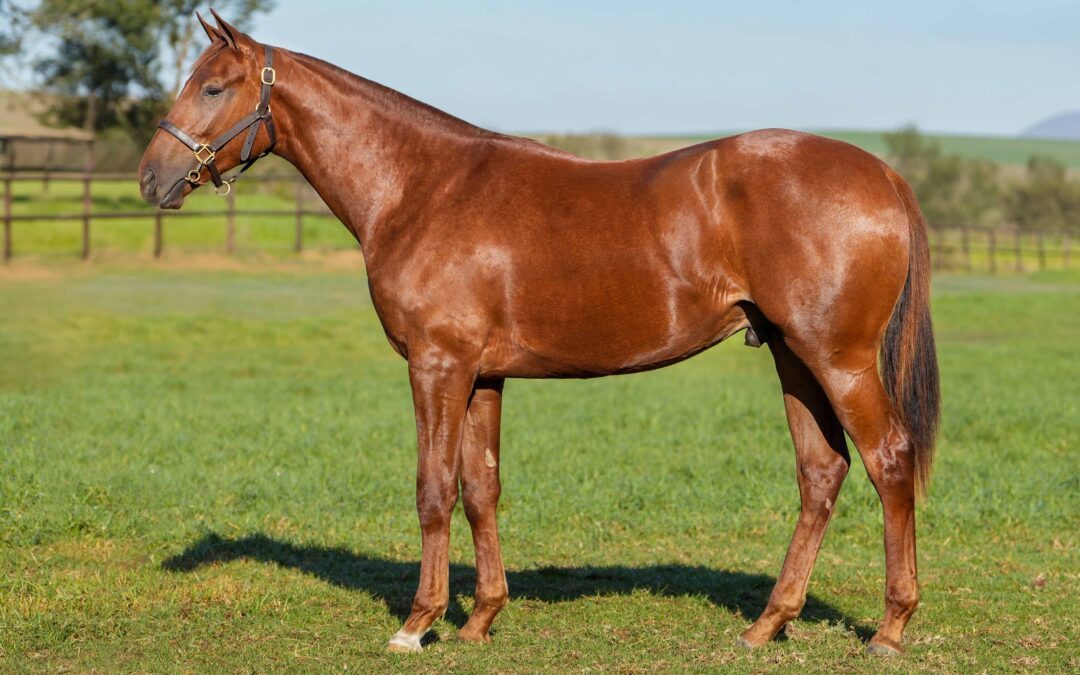 LOT 203: SECRET AGENT